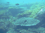 2010628002.gif