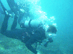 2010628003.gif