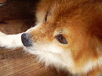 2010628004.gif