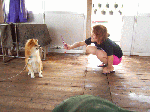 2010628005.gif