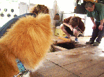 2010628006.gif