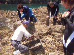 2010628008.gif