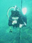 taorosi-003.gif