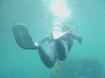 taorosi-004.gif