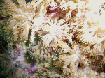 taorosi-0091.gif