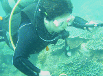 taorosi-0092.gif