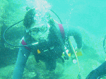 taorosi-0093.gif