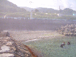 4cbf2570.gif