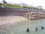 image5.gif