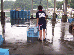 tyokouki1-92.gif