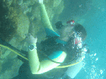 taob0092.gif