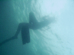 freed0092.gif