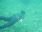 freed0093.gif
