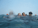 jinbeew0091.gif