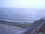 n-karasaki002.gif