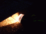 n-karasaki006.gif