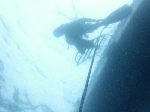 deepsp00091.gif