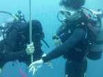 deepsp00092.gif