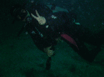 deepsp0096.gif