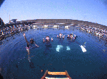manbo002.gif