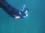 manbo003.gif
