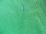 manbo093.gif
