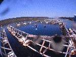 manbo095.gif