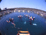 manbo096.gif