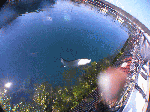 tobiei002.gif