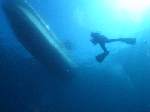 asizuri005.gif