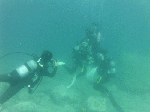 idasizuri002.gif