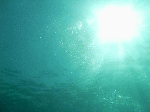 kuasizuri001.gif