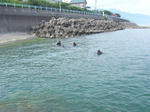 M0010538.JPG