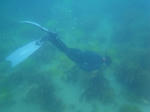 M0010612.JPG