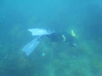 M0010614.JPG