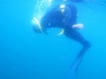M0010666.JPG