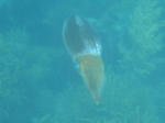 M0010622.JPG