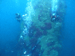 taoru002.gif