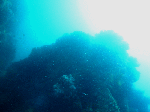 taoru005.gif