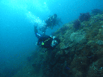 taoru0093.gif