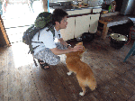 taoru0096.gif
