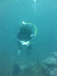idid003.gif