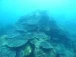 M0011405.JPG