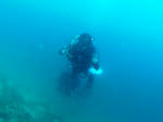 M0011422.JPG