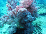 M0011435.JPG