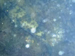 P8100800.JPG