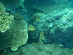 sunokawa0002.JPG