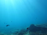 M0010028.JPG
