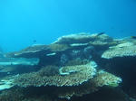 M0010025.JPG