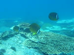 M0010036.JPG